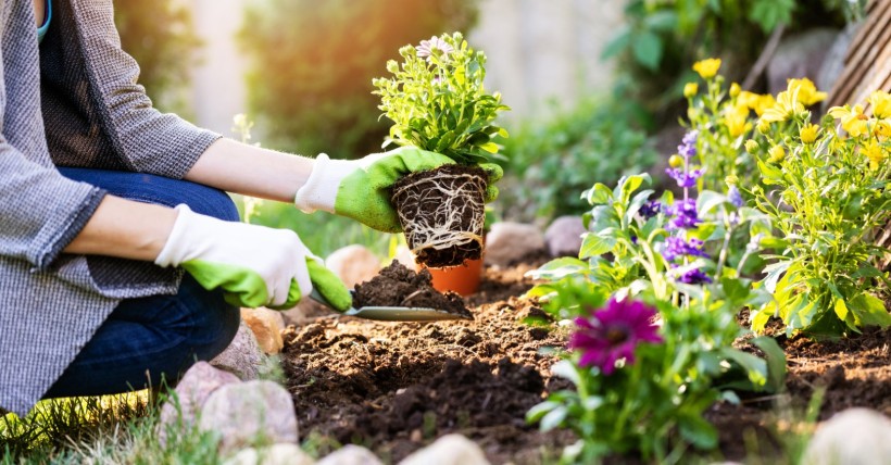 Starting Your Indoor Food Garden: A Guide for Beginners